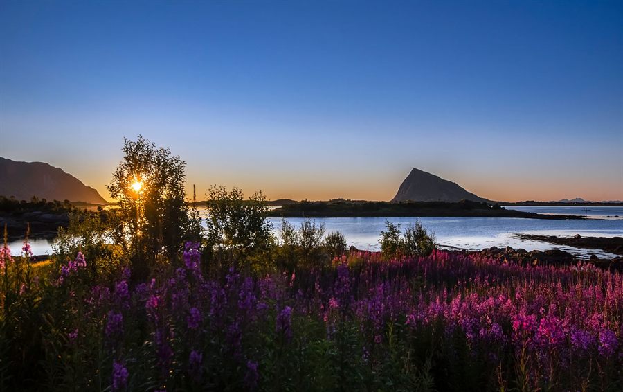 Low sun over a calm bay on a northern Norway summer night